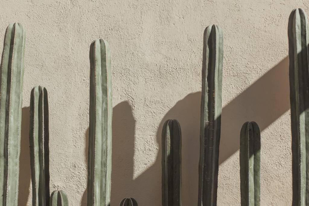 Cien Palmas- Authentic Mexican Casita 3 -Downtown Todos Santos Exterior photo